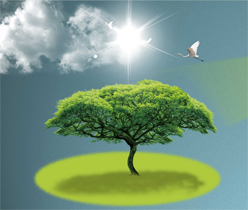 多媒體互聯(lián)網(wǎng)設計,光電公司網(wǎng)站設計